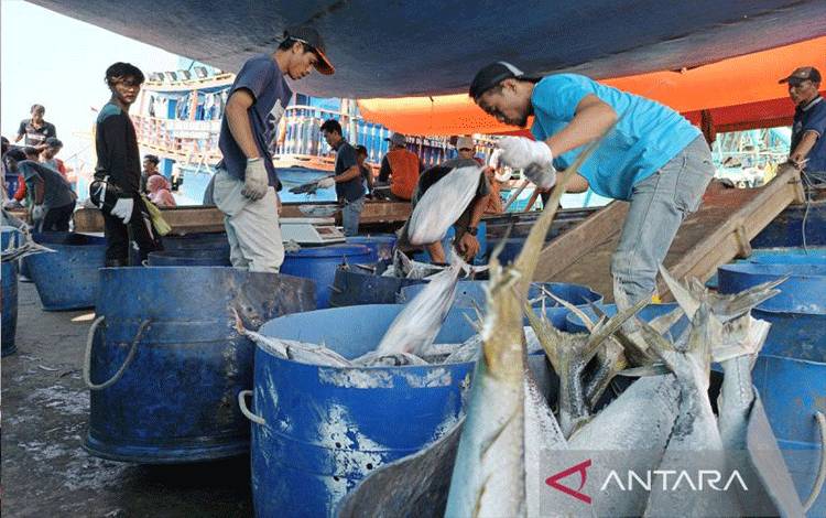 Pekerja memindahkan ikan hasil tangkapan nelayan dari kapal di Pelabuhan Muara Baru, Jakarta, Selasa (15/8/2023). (ANTARA/Khaerul Izan)