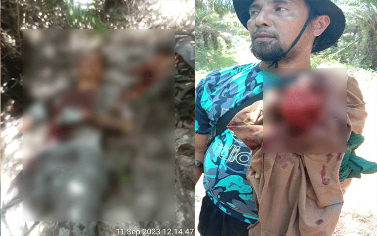 Warga di Desa Pelantaran Bentrok, Satu Tewas Tiga Luka-Luka