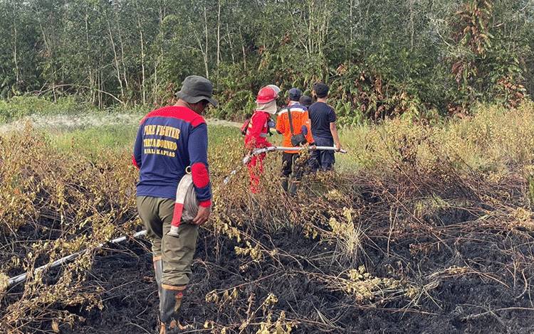 Satgas Karhutla Tanggulangi Kebakaran Lahan di Handel Dumanap