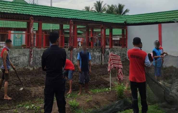 Rutan Kapuas Terus Galakkan Pembinaan Bidang Hortikultura Bagi WBP