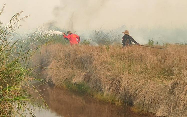 150 Hektare Lahan Terbakar di Desa Kahuripan Permai, Tim Satgas Karhutla Lakukan Pemadaman
