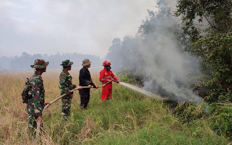 Tim Satgas Karhutla Kapuas Padamkan Kebakaran Lahan di Handel Sinjung