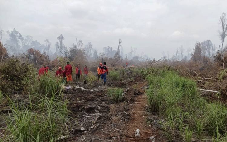 Meski Ada Turun Hujan, Karhutla di Katingan masih Terjadi