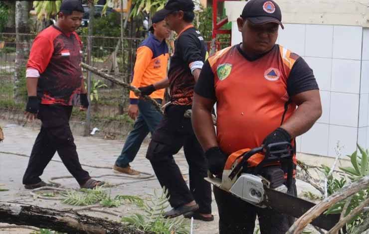 Pohon Rawan Tumbang di SMPN 2 Dievakuasi BPBD Palangka Raya