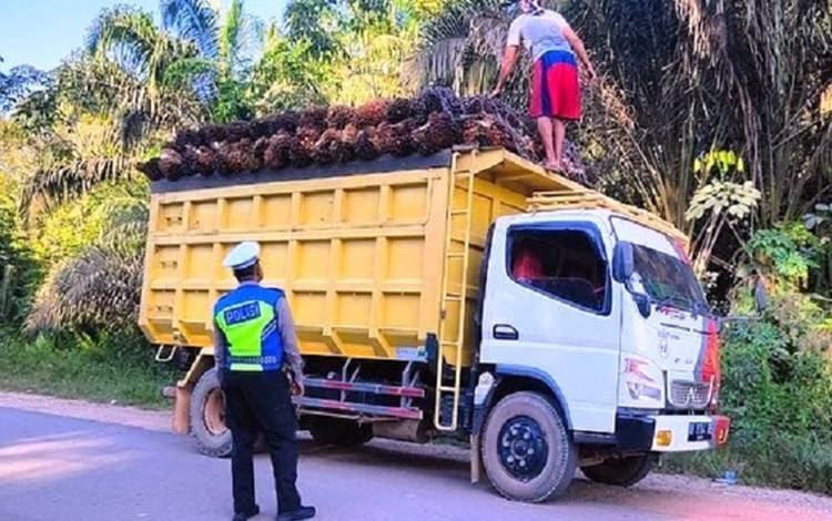 Warga Lamandau Keluhkan Truk Sawit Tanpa Jaring Pengaman  ?