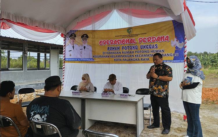 Hari Rabies Sedunia, Steril Gratis Jadi Strategi DPKP Kendalikan Populasi Hewan Liar