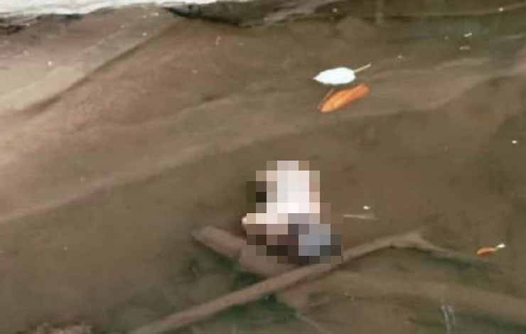Bayi Terapung di Sungai Lamandau Korban Aborsi
