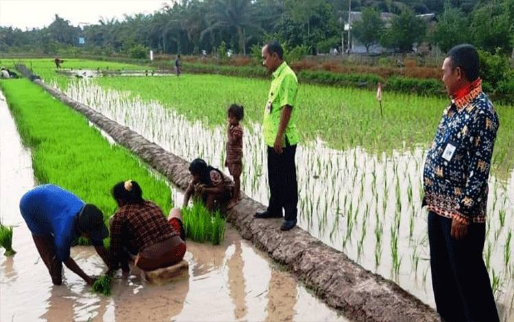 Petani di Lamandau Perlu Bantuan untuk Dongkrak Hasil Produksi