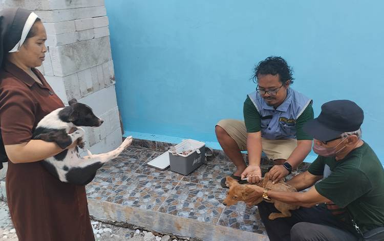 Hari Rabies Sedunia, Semakin Semangat Cegah Kasus Rabies