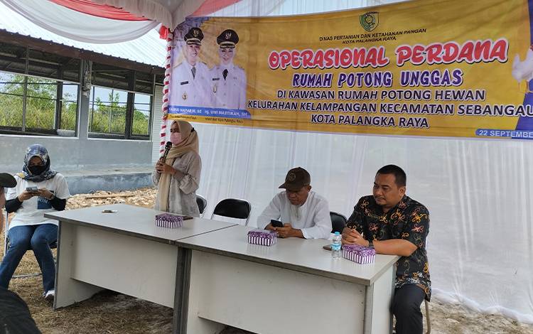 Kabid DPKP Sebut Ada Aturan Penjualan Daging Beku di Palangka Raya
