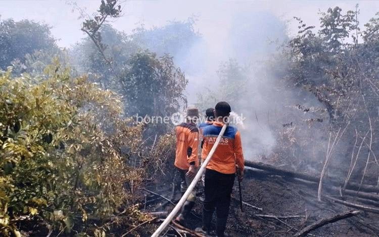 Kebakaran Lahan Gambut Kembali Terjadi di Lamandau