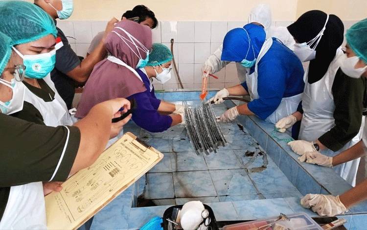Terduga Pelaku Pelajar, Penetapan Tersangka Pembuang Bayi di Lamandau Menunggu Kecocokan DNA