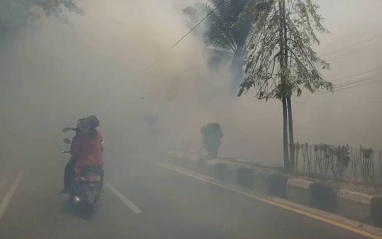 Sekolah di Kotim Diinstruksikan Belajar dari Rumah Selama Kabut Asap