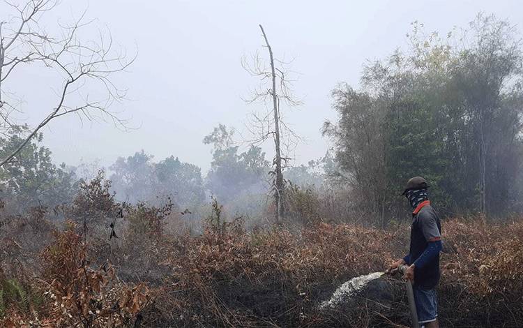 Pelaksanaan Pemadaman Api oleh Tim Karhutla Dinas ESDM Prov. Kalteng di Kecamatan Jabiren. (FOTO: IST)