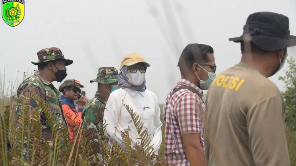 Pembakar Hutan dan Lahan Akan Disanksi Pidana