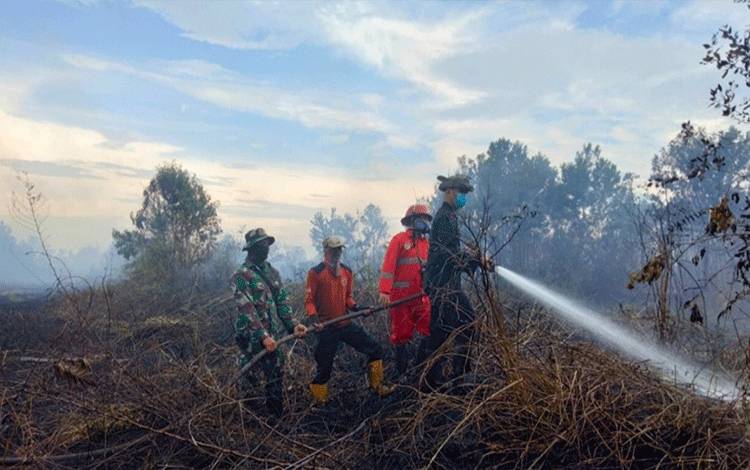 Tim Satgas saat lakukan penanggulangan Karhutla di Kabupaten Kapuas. (FOTO: IST)