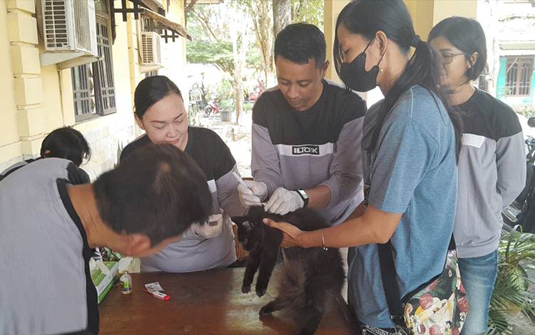 Distan Kapuas Turut Dukung Pemecahan Rekor MURI Kementan Vaksinasi Rabies Serentak Terbanyak