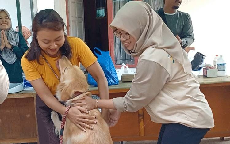 Distan Kotim Temukan Satu Kasus Rabies