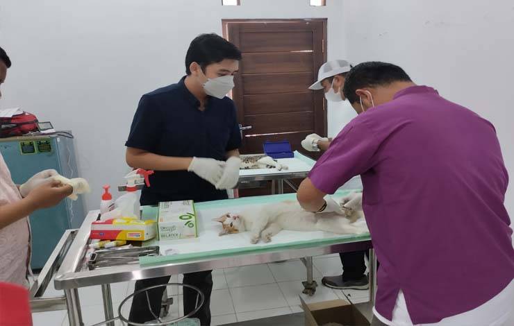 Antusiasme Masyarakat Palangka Raya Peringati Hari Rabies Sedunia Sangat Tinggi