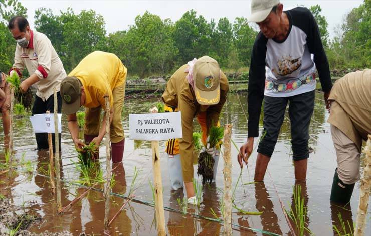 Dinas Pertanian Diminta Tentukan Target Konkret Wujudkan Ketahanan Pangan
