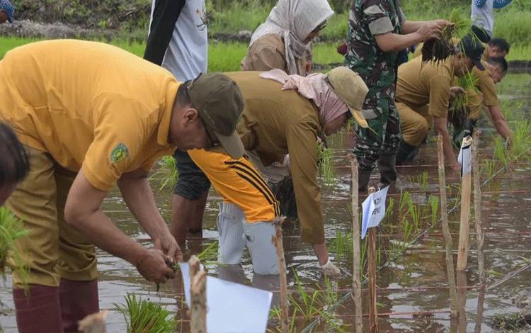 Pemko Palangka Raya Upayakan Ketersediaan Pupuk Murah