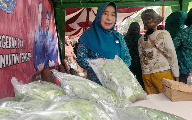 TP-PKK Kalteng Edukasikan Sayuran Organik Sehat Untuk Konsumsi