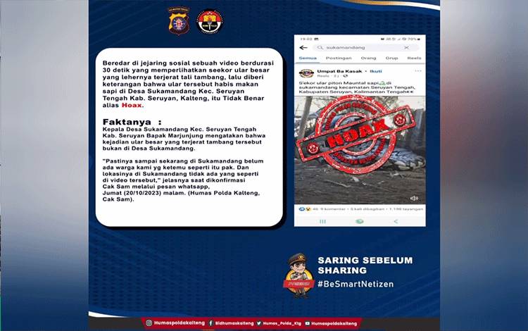 Viral Video Ular Makan Sapi di Desa Sukamandang, Pernyataan Polda Kalteng Begini
