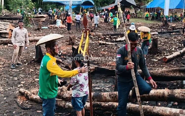 Bupati Gunung Mas Ikut Manugal Bersama Masyarakat hingga Wajahnya Hitam karena Ini