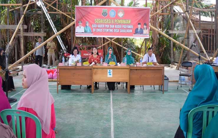 TP PKK Kapuas Sosialisasi dan Berikan Pembinaan Kader Posyandu di 2 Desa