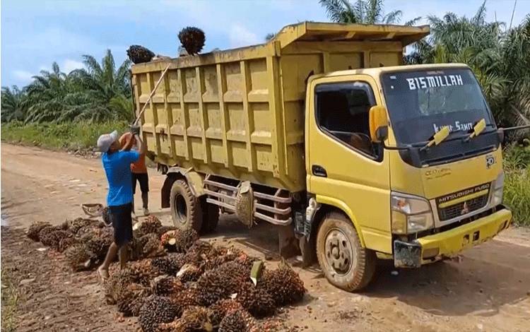 Sawit Komoditas Strategis Dorong Perekonomian Negara