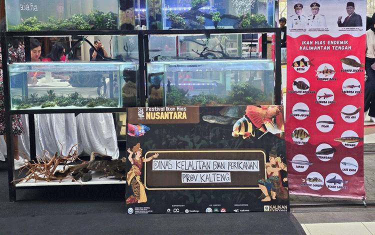 Ikan Hias Miliki Potensi Untung Besar?