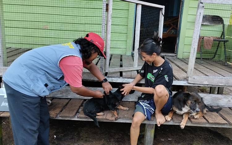Palangka Raya Kekurangan Vaksin Rabies