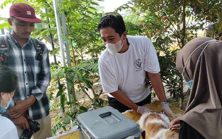 DPKP Targetkan 70 Persen HPR di Palangka Raya Dapat Tervaksin Rabies Akhir 2023