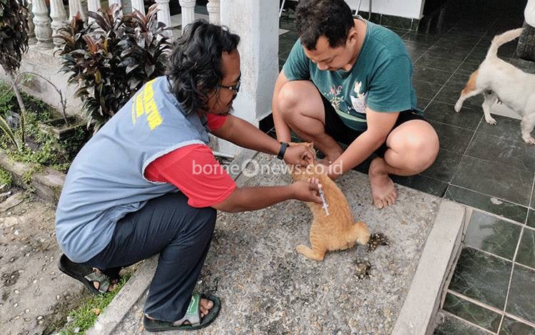 Dokter Hewan: Ketakutan Meningkatkan Kesadaran Terhadap Vaksin Rabies