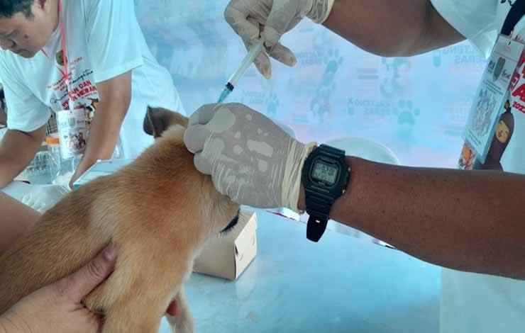 Sekda Kalteng Imbau Masyarakat Waspadai Kasus Rabies
