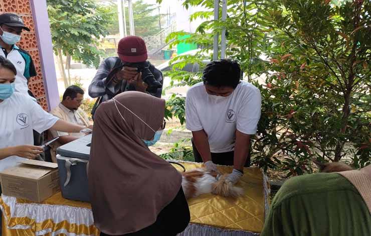 DPKP Palangka Raya Klaim Telah Banyak Vaksin Kucing di Kota Cantik