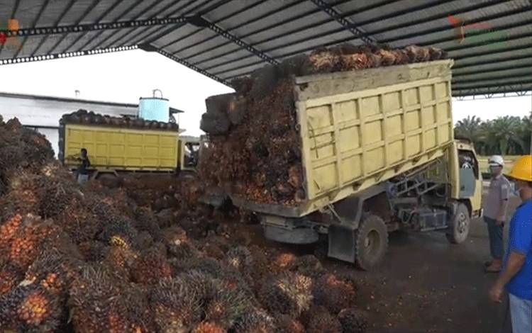 Tekanan Sentimen El-Nino, Penjualan SSMS Capai Rp4,42 Triliun