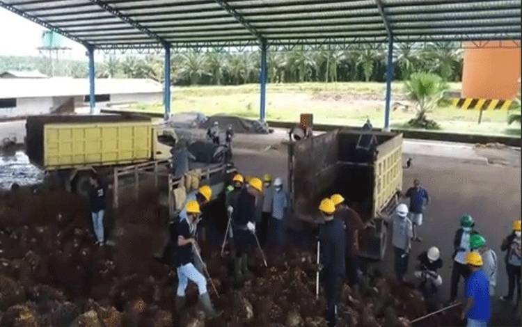 Penampungan TBS dari kebun masyarakat yang masuk dalam perusahaan perkebunan kelapa sawit. (FOTO: Dokumentasi BPDPKS)