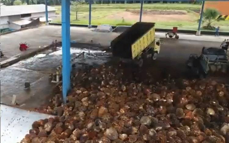 SSMS Sukses Tekan Liabilitas Jangka Pendek Jadi Rp1,77 Triliun