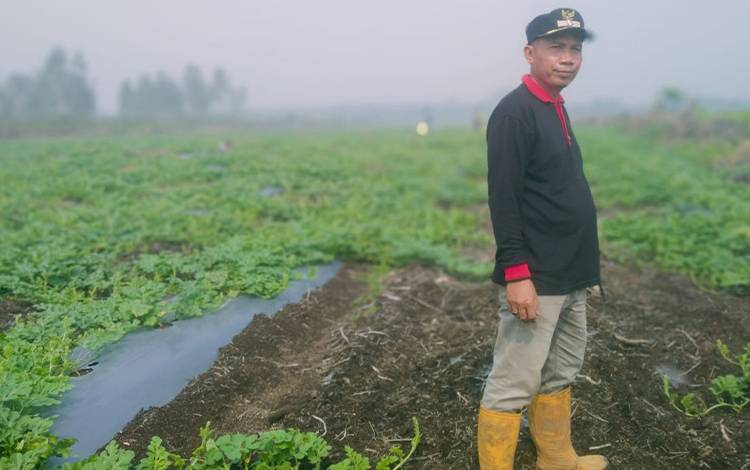Kades Pulau Kaladan Berharap Perhatian dan Dukungan Pemerintah Kembangkan Budidya Semangka