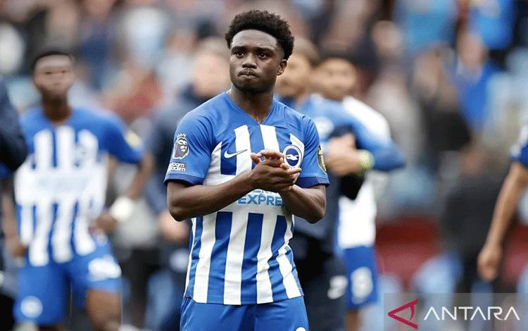 De Zerbi: Estupinan Absen, Tapi Lamptey Kembali Bermain Lawan Everton