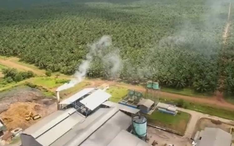 Salah satu perusahaan dan perkebunan kelapa sawit di Kalimantan Selatan. (FOTO: Dokumentasi BPDPKS)