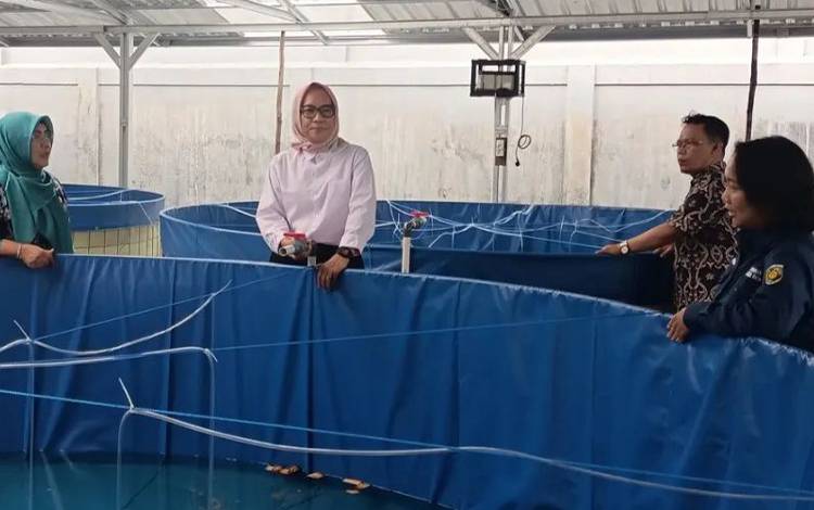 Pj Wali Kota Palangka Raya Dukung Teknologi Bioflok Budidaya Ikan
