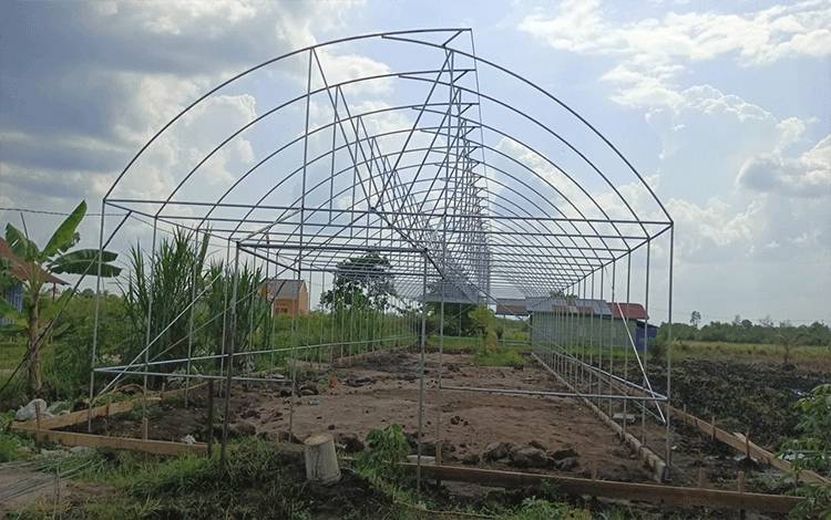 DTPHP Kalteng Harap Teknologi Soil Block jadi Solusi Pemenuhan Benih Cabai dan Bawang Merah
