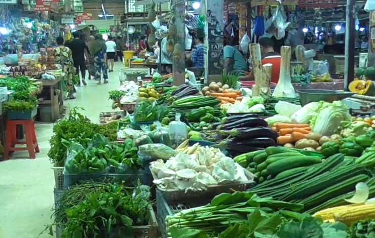 Aneka sayur di pasar Kahayan Kota Palangka Raya. UPT BPPBTPH mencatat teknologi soil block dapat diaplikan di banyak jenis sayur, tak hanya cabai. (FOTO: SYAHRUL)