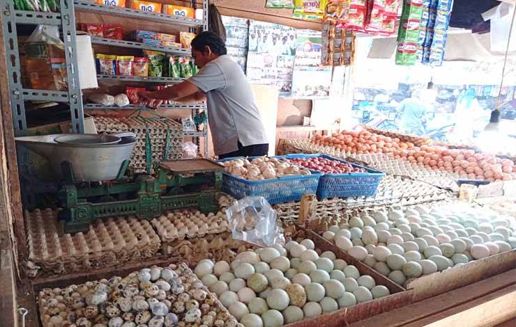 Pedagang Sebut Harga Telur Naik karena Harga Pakan Mahal