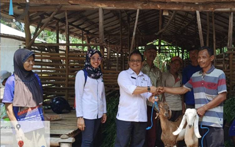 Penyerahan Ternak Kambing PE di Kandang Kelompok Tani Ternak oleh Kabid. Peternakan dan Kesehatan Hewan Dinas TPHP Provinsi Kalteng. (FOTO: IST)