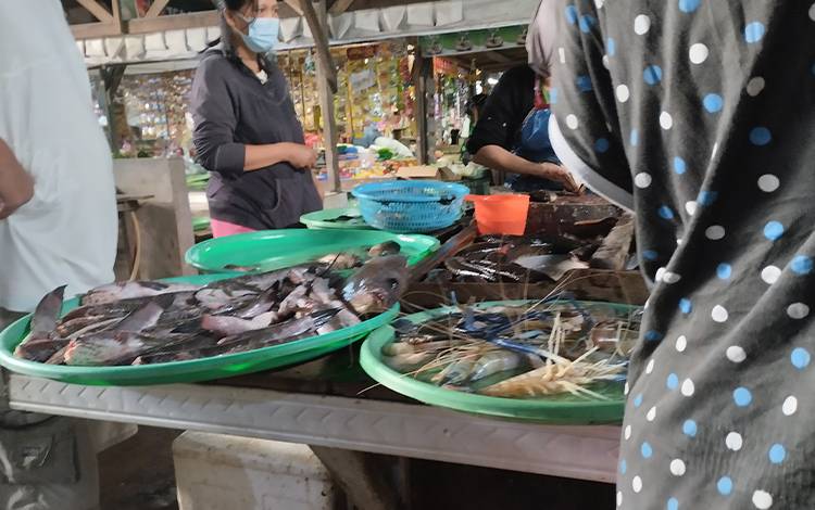 Udang Laut Besar Langka, Udang Galah Tambak jadi Idola