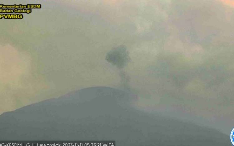 PVMBG Rekam Dua Erupsi yang Terjadi di Gunung Ili Lewotolok