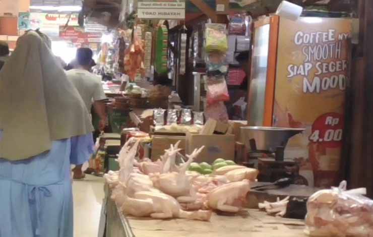 BPS Mencatat ayam ras sebagai salah satu komoditas yang mengalami deflasi?secara?bulan ke bulan (m-to-m).?(FOTO: SYAHRUL)